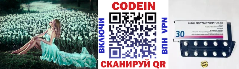 Codein напиток Lean (лин)  Купить закладки  Анадырь 