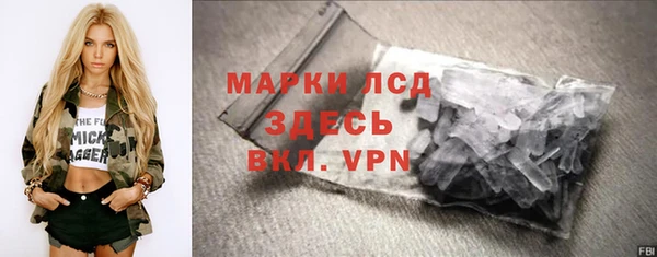 прущие грибы Беломорск