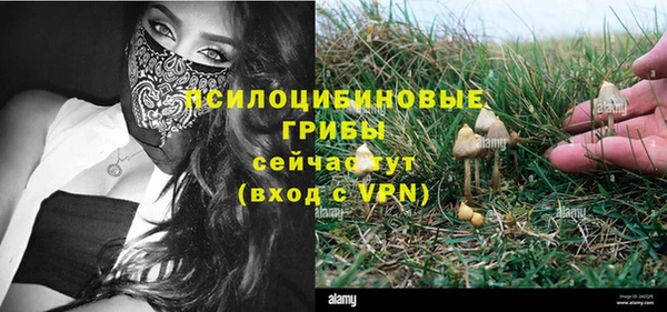 прущие грибы Беломорск