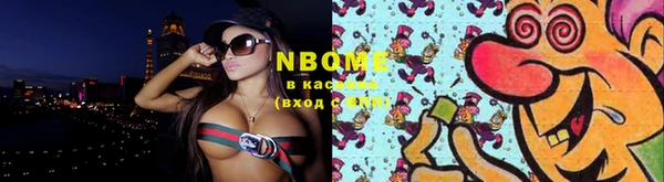 прущие грибы Беломорск