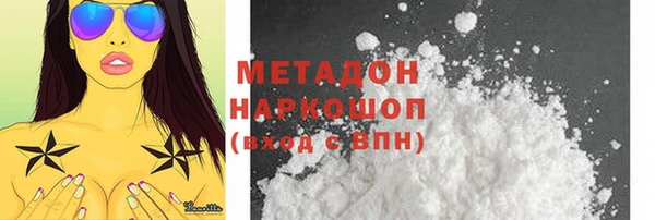 прущие грибы Беломорск