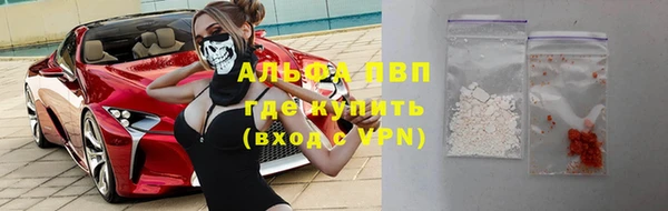 бошки Белокуриха