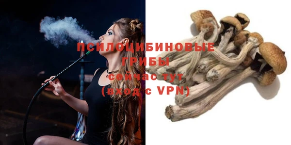 индика Белоозёрский