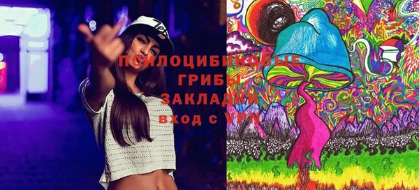 индика Белоозёрский