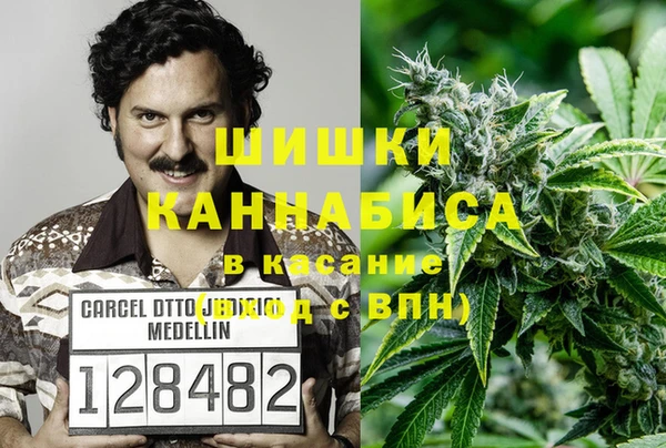 прущие грибы Беломорск