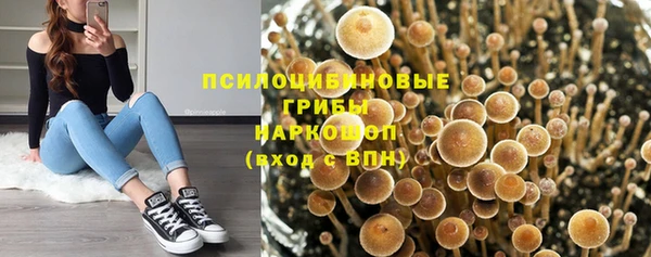 бошки Белокуриха