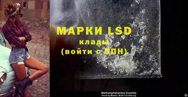 прущие грибы Беломорск