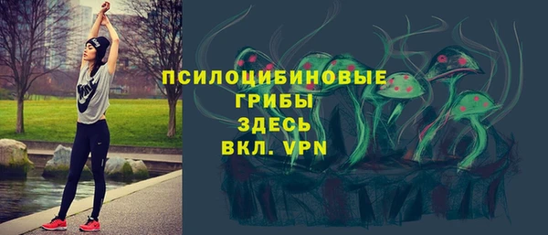 индика Белоозёрский