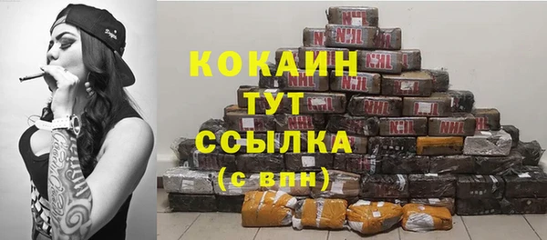 индика Белоозёрский