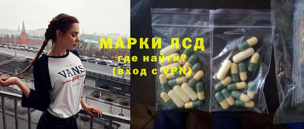 прущие грибы Беломорск