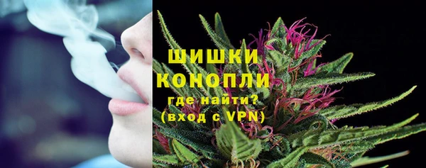 бошки Белокуриха